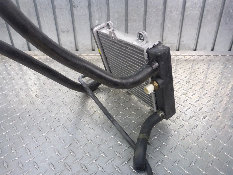 09 Hyosung MS3 250 Radiador Refrigerante Manguera Líneas Sensor de Temperatura Foto 3 de 4