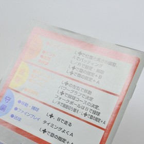 VIRTUAL PRO BASEBALL 95 Virtual Boy Nintendo 0426 vb