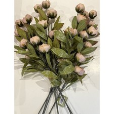 New In Box Ashland Tan Peony Stems Set of 8