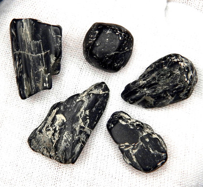 72.3ct Lot of 5 Unheated Cats-Eye Enstatite Natural Mined Rough Spars Cab Grade
