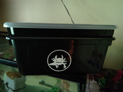 #ad #ad European Nightcrawler Worm Farm. Have an endless supply of healthy worms quickly $110.00