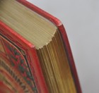 Photo 11/21