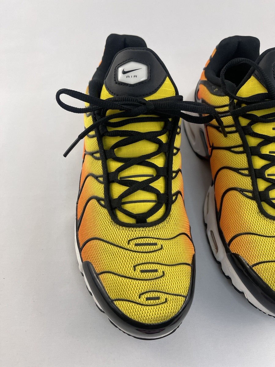 Size 11.5 - Nike Air Max Plus TXT TN Tiger | eBay