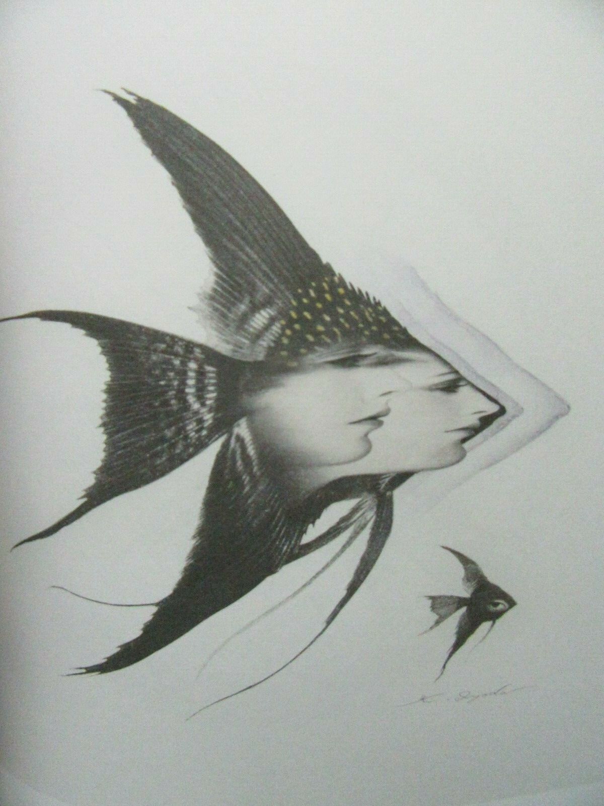Picture 6 of 12