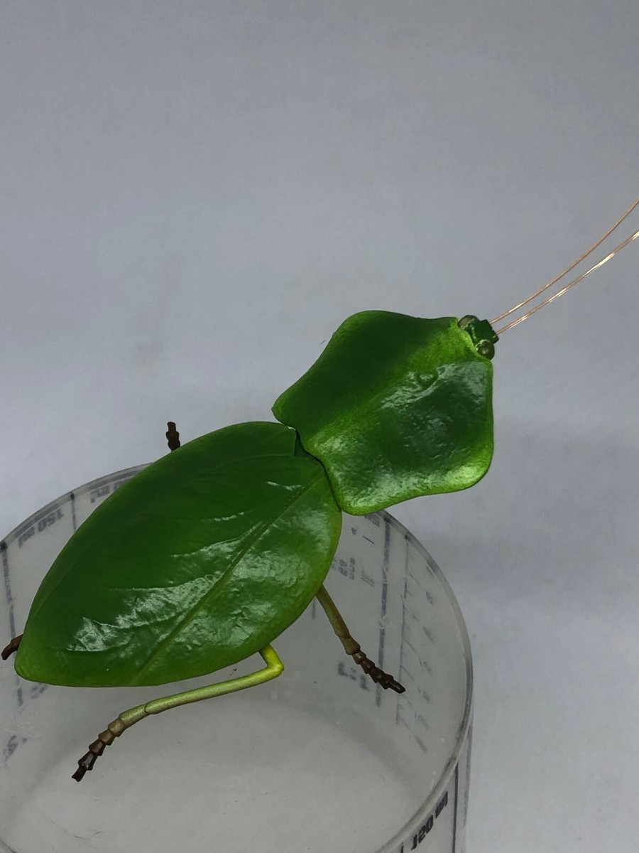 Takara Tomy mantis capsule 