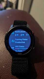 Garmin Forerunner 255 Grey Smartwatch GPS Running with Advanced Training