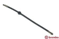 Flexible de frein Citroen XANTIA