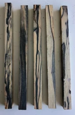 Black and White Ebony Pack of Five .75x.75x12 Dry Turning Wood Pen Blanks P2