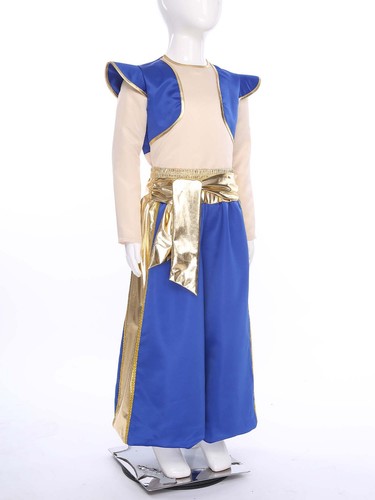 Boys Arabian Prince Lamp Elf Cosplay Long Sleeve Tops Metallic Harem Pants Set - Picture 18 of 60