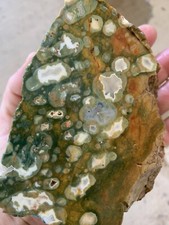 Rain Forest Jasper  Face Cut Rough Chunk 2 Lbs From Old Collection