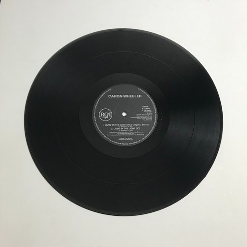 Caron Wheeler - Livin' In The Light 12" Single Vinyl Record - PT 43940 - Picture 4 of 4