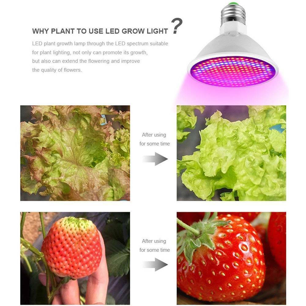 Plant Grow Light Umbrella Design Flower Grow Light For Garden RMM eBay