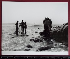 Doctor Who original 10 x 8