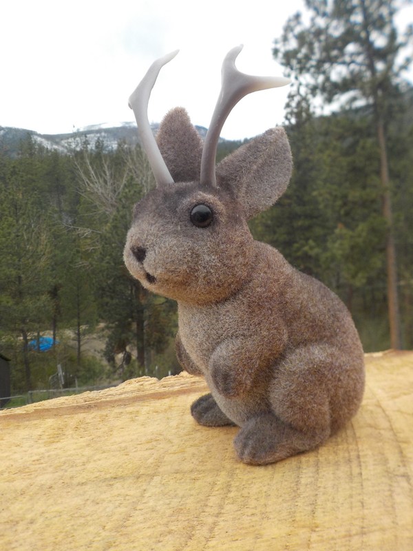 Jackalope Fuzzy Flocked Bank with Stopper " Sorry, no money in it"