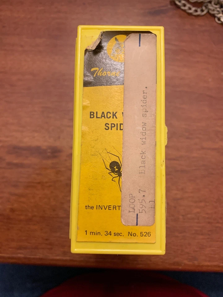 🕷🕷🕷🕷Vintage 8mm Film: Black Widow Spider 🕷🕷🕷🕷🕷 No. 526 🕷🕷🕷🕷 - Image 2 of 4