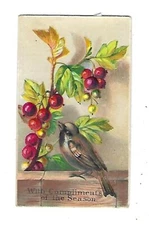 c1890 Stock Victorian Trade Card Cherry Vive & Bird, Embossed