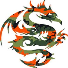 30 Custom Orange Camo Dragon Personalized Address Labels
