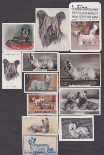 12 Different Vintage Skye Terrier Tobacco/Cigarette/Tea/Candy Dog Cards Lot