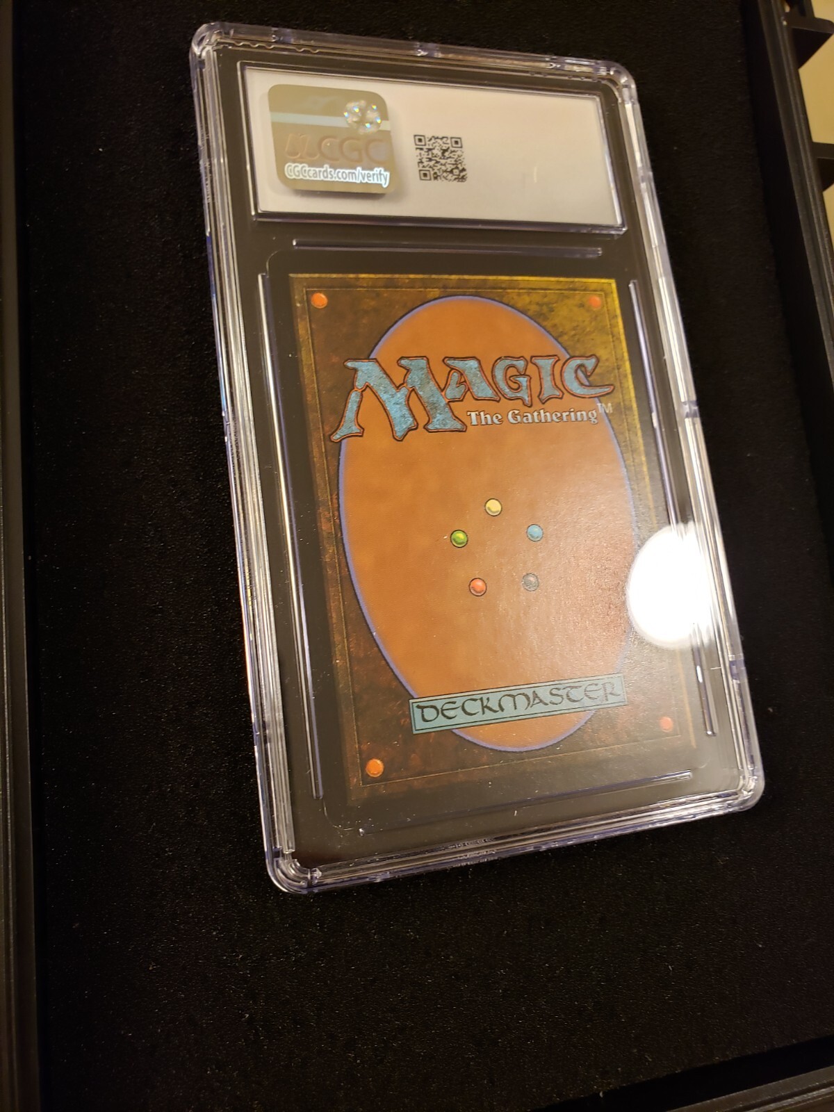 Picture 5 of 5