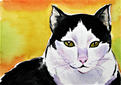 Tuxedo Katze   Original Aquarell  Cat Portrait  v.Künstler