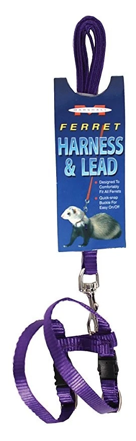 Marshall Pet Products Ferret Harness & Lead Set - PURPLE