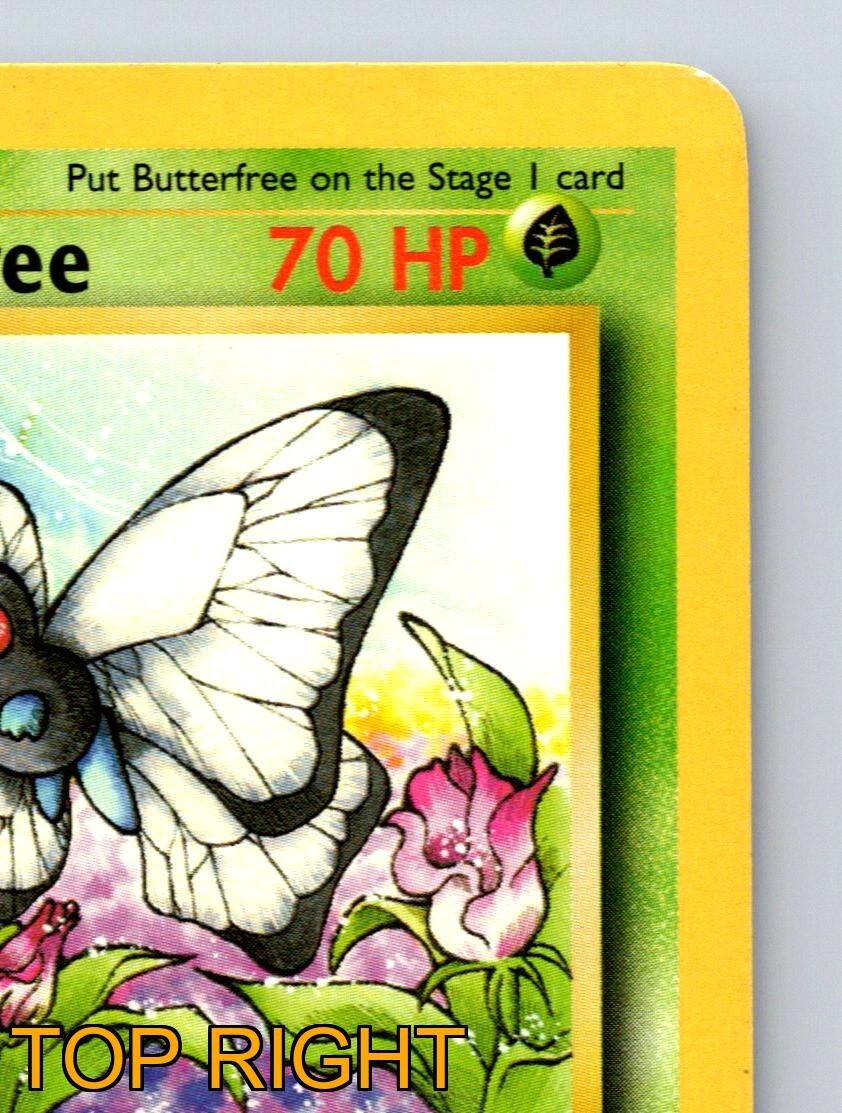 Butterfree HP 70 Mega Drain Attack Rarity Green Pokémon Card | eBay