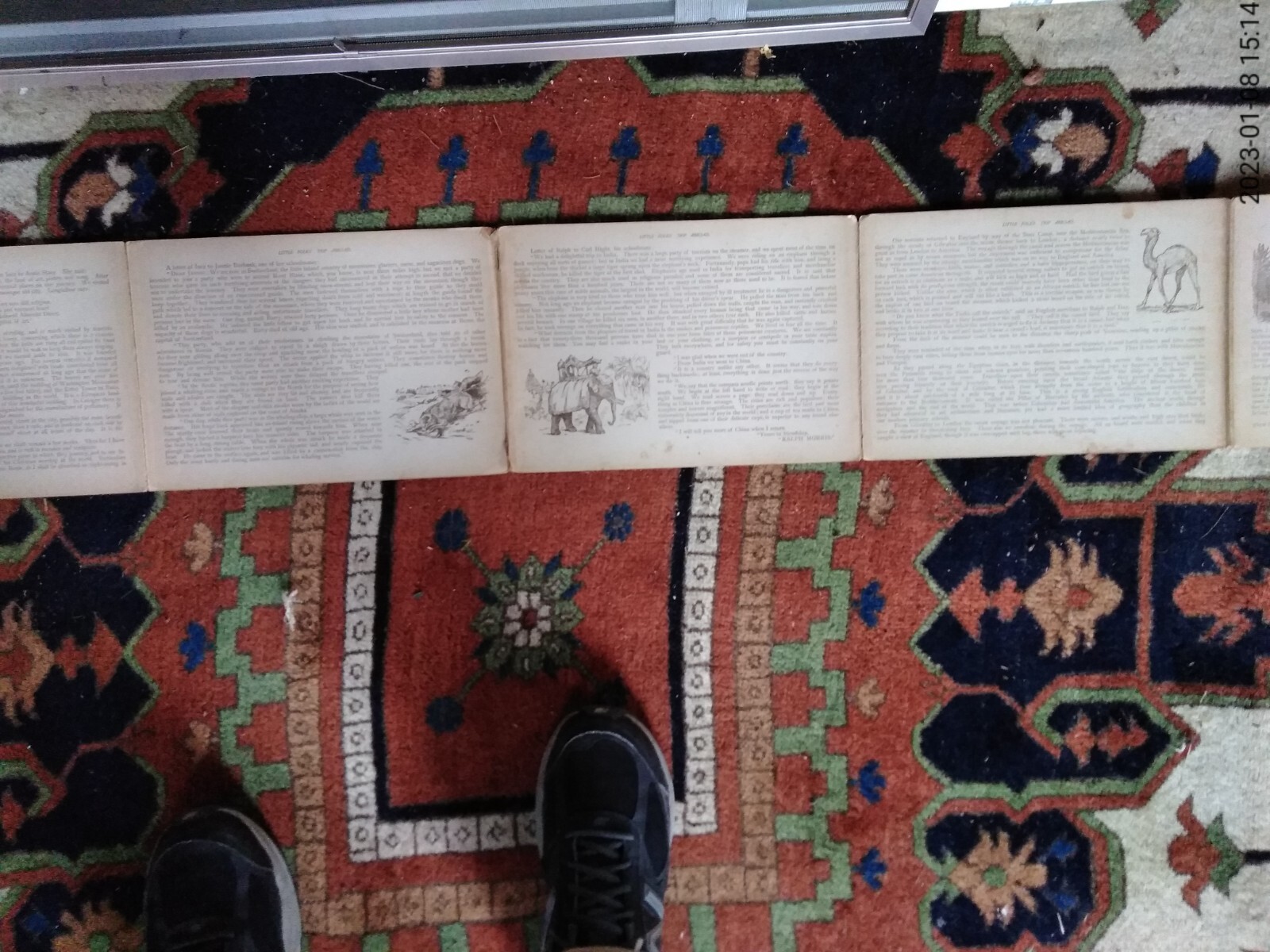 Picture 7 of 8