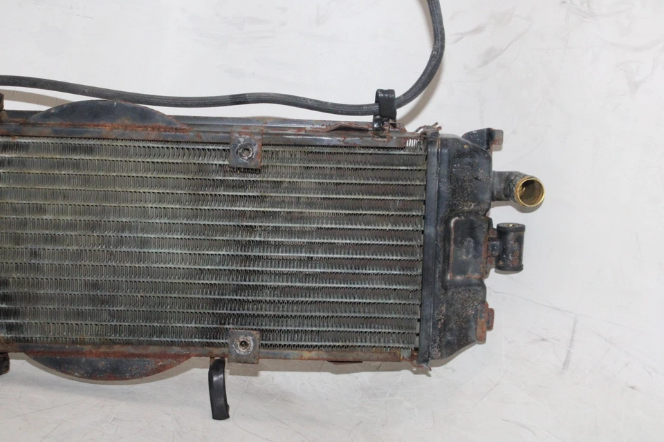 84-85 HONDA SHADOW 700 VT700C OEM ENFRIADOR DE MOTOR RADIADOR DE REFRIGERACIÓN RADIADOR Foto 3 de 4