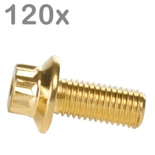 120 Screws M7x16 Stainless Goldlook for BBS Rial Schmidt O.Z. Dynatech Carline Wheels