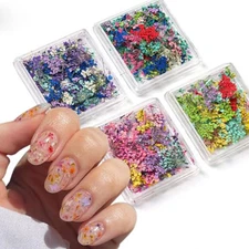 4Box 3D Dried Flowers Nail Art Stickers Colorful Dry Flower for Nails Kit - 