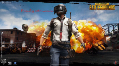 Perfect Soldier Story Ssg-001 1/12 Pubg Battlegrounds Standard