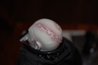 Bild 10 von 11