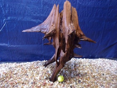XXX-Large Driftwood Mounted on Slate 22''x24''x18'' Aquarium Reptile Natural Art