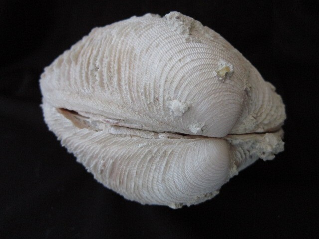 Picture 5 of 14
