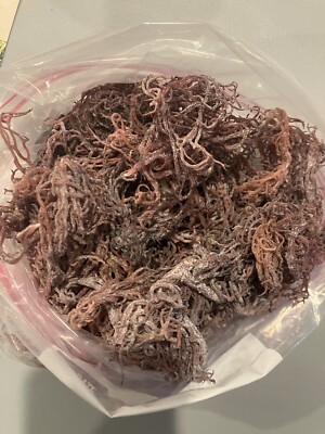 Purple Seamoss Wild craft Raw per poundLimited Availability 