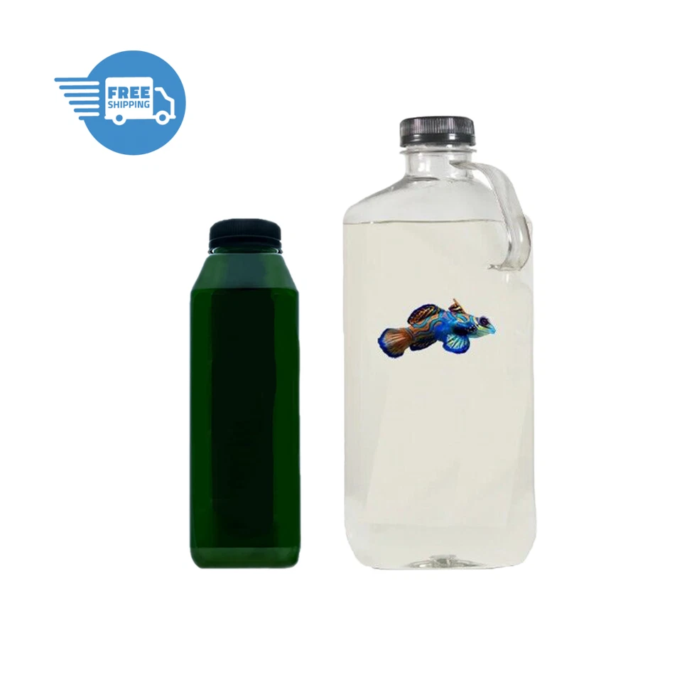 COPEPODS FOR SALE Premium 32oz 5 Species Copepod Mix - 16oz Live Phytoplankton- Fast Free Shipping