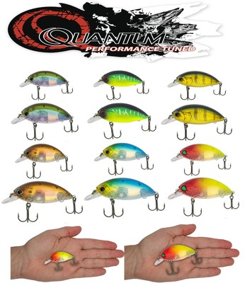 QUANTUM Fat Minnow SR Wobbler für Flachwasser -schwimmend 0-1 Meter
