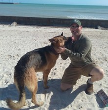 1 LB ELK Antler Dog Chews Jumbo XL Large Med OR Small