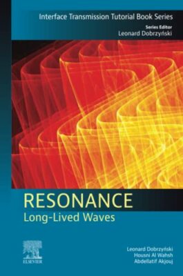 Resonanz: Langlebige Wellen (Schnittstellenübertragung Tutorial Book Series)