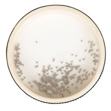 1Pc Wooden Drum with Realistic Wave Sounds for Boy Girl Music Play