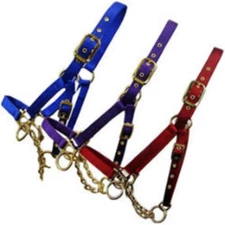New! Valhoma brand 1" wide NYLON COW CONTROL HALTER w/ Control Chain 13 COLORS!