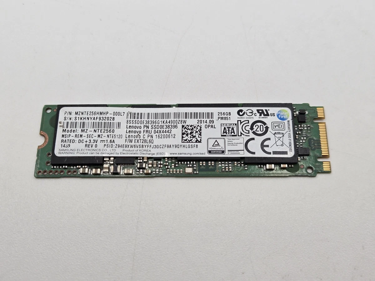 Samsung M.2 Interface 256 GB Solid State Drives for sale | eBay
