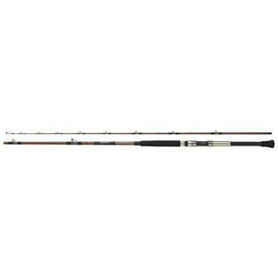 ダイワ　深海釣り竿　DEEP ZONE 200-240 Daiwa Deep Zone 200-240 Offshore Boat Rod | eBay