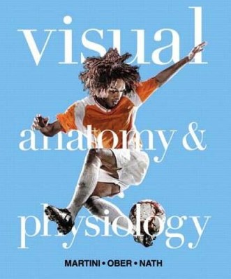 Visual Anatomy & Physiology - Hardcover By Martini, Frederic H. - GOOD