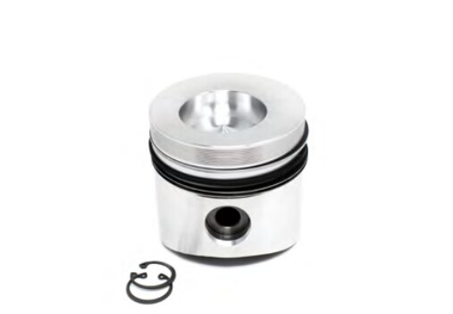 Kolben Mit Segmenten + 1,00 96 Mm Diesel Motor Lombardini 9LD625-2 11LD625/3-image