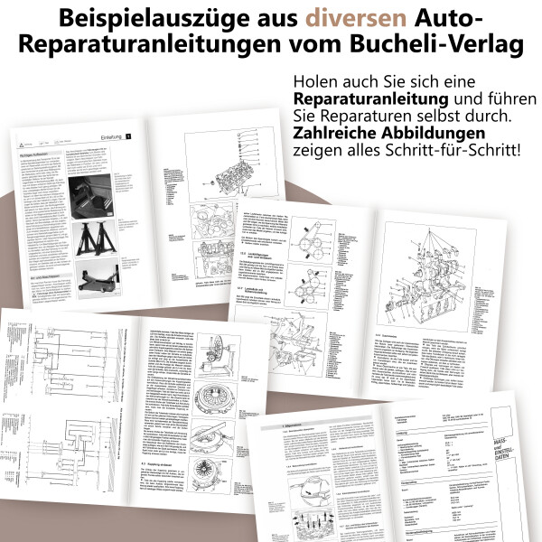 Bild 4 von 7