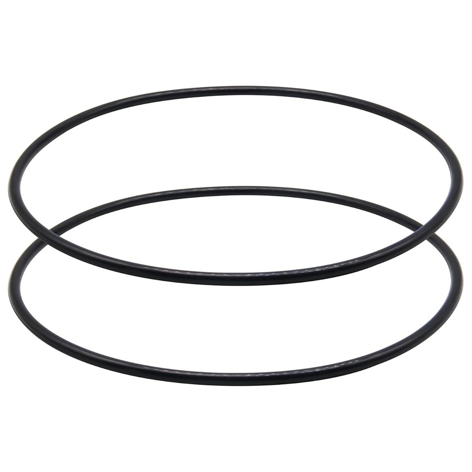 Kit 2 O-Ring Di Ricambio Per Filtro Hayward Star-Clear Plus CX900F E Altri Modelli - Guarnizioni Per Pompe E Filtri Piscina