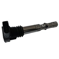 ZüNdspule Sae FüR Audi A3 A4 A6 Tt Seat Skoda Vw Bora Golf Passat 1.8 T 2.0