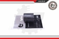 Esen SKV Ladeluftschlauch FüR VW Crafter 30-50 Kasten 2E_ 2F_