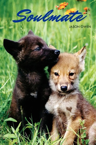 Jason Owen | Soulmate | Taschenbuch | Englisch (2011) | Kartoniert / Broschiert-image